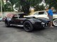 Cobra 